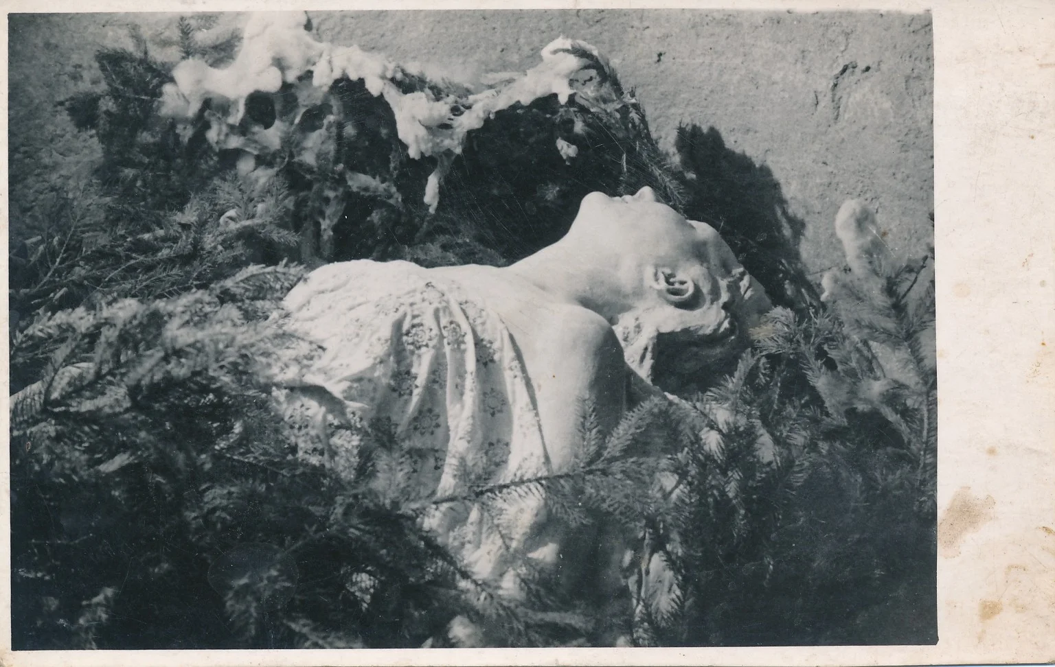 CSIPKERÓZSIKA (1934)