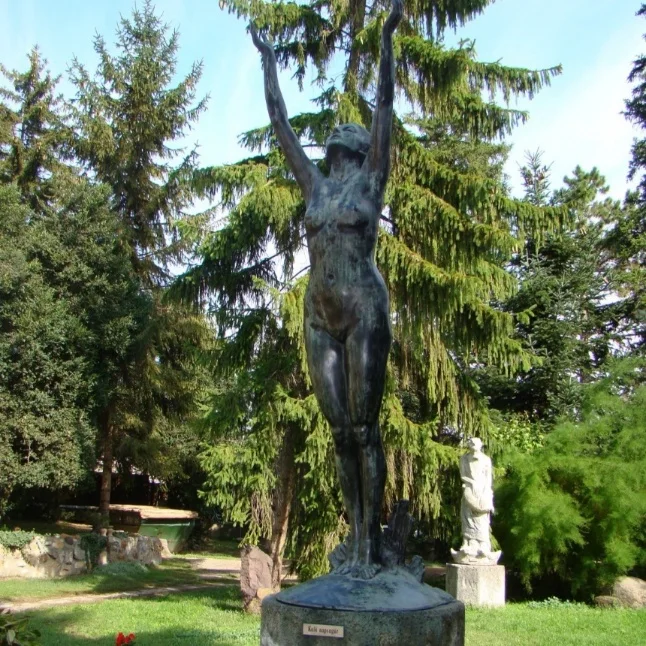 KELŐ NAPSUGÁR (1923)